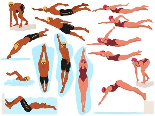 stock vector Male And Female Swimmers In Different Swimming And Diving Poses. Cartoon Vector Illustration Highlights The Athleticism, Skill And Precision Of Swimmers As They Perform Various Strokes And Dives