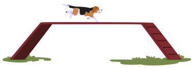 Açık havada Çeviklik Aletleri Üzerine Köpek Eğitimi Yükseltilmiş Platformda Bir Köpek Egzersizi Gösteriyor. Hayvan Eğitimi, Çeviklik ve Açık Hava Faaliyetleriyle İlgili Çizgi Film Vektör Kavramları
