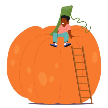 Mutlu Çocuk Çocuk Karakteri, Hayal gücü ve eğlence dolu tuhaf bir sonbahar sahnesini yakalamasına karşı desteklenmiş bir merdivenle Büyük Balkabağı 'nın üstüne oturur. Çizgi film Vektör İllüstrasyonu