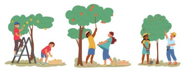 Ağaç karikatür sahnesinden olgun armut, kayısı ve kiraz meyveleri toplayan küçük çocuk karakterleri. Çocuklar meyve bahçesi hasat vektör ilüstrasyonunu topluyorlar. Organik bahçıvanlık ve tarım