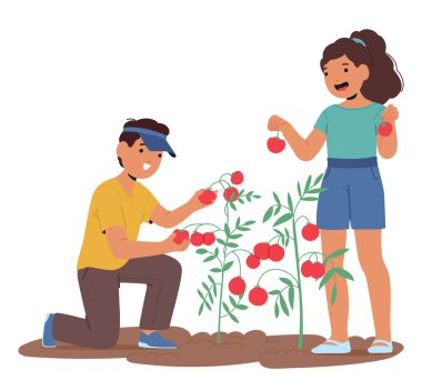 Arka bahçedeki çalılıklardan domates toplayan çocuk karakterler mevsimlik hasat karikatürleri topluyorlar. Sevimli erkek ve kız kardeşler bahçe işleri ve çiftçilik faaliyetleri illüstrasyonunun keyfini çıkarıyorlar.