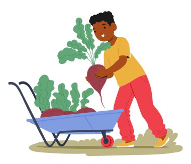 El arabası karikatürü sahnesinde pancar kökü toplayan mutlu çocuk küçük yardımcı karakter. Genç bahçıvan çocuk, organik gıda üretim vektörü illüstrasyonunda yer alan olgun sebzeleri topluyor.