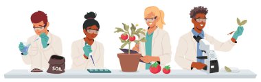 Tarım laboratuarında çalışan bilim adamları numune testi yapıyorlar, toprak verimliliğini, bitki tohumlarını ve ekilmiş sebze vektör örneklerini inceliyorlar. Biyoteknoloji bilimi ve tarım.