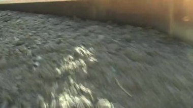 Ormanın ortasındaki yolun tamiri için bir noter yardım etti.