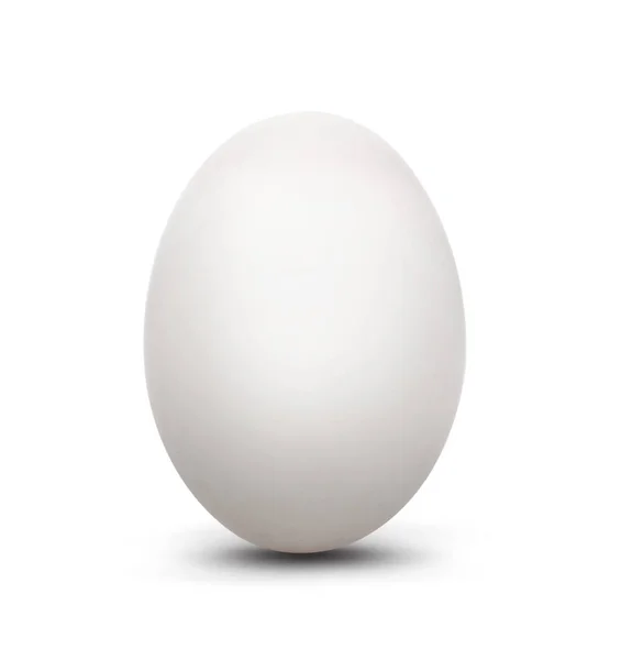 Αυγό Λευκό Απομονωμένο Λευκό Φόντο Χάραξη Διαδρομής — Φωτογραφία Αρχείου
