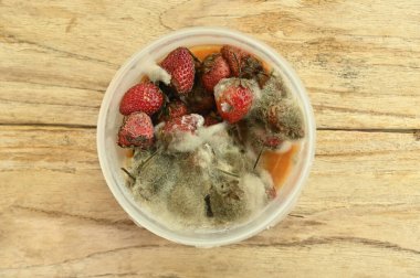 Bir sürü çürük çilek plastik, yuvarlak, yün bir kutuda..