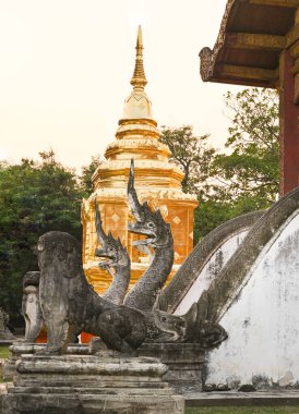 Naga heykeli tapınağın arkasındaki eski Naga Naga heykeli Wat Jadee Luang tapınağındaki güzel altın bir pagoda..