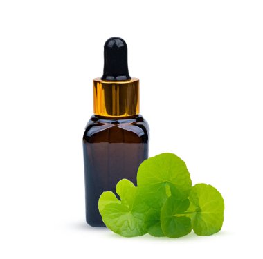 Gotu kola centella asiatica özütü beyaz arkaplanda taze yapraklarla izole edilmiş. .