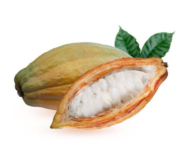 Beyaz arka planda izole edilmiş kakao kabuklu taze kakao çekirdekleri..