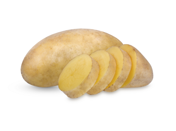 Isolated potatoes. Cut raw potato vegetables  with clipping path  on transparent.