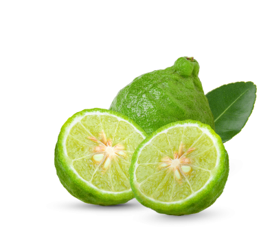 Bergamot ve yarısı beyaz arka planda. Şeffaf sağlık için bitki..