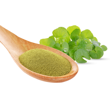 gotu kola, Asyalı pennywort, centella asiatica, şeffaf kaşık üzerinde ayurveda bitkisel ilaç.