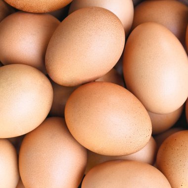 Taze tavuk yumurtası, beyaz arka planda yumurta yakın plan..