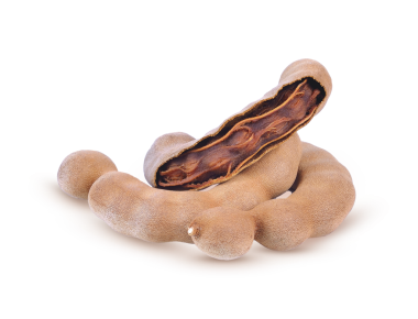 Taze demirhindi, şeffaf beyaz arka planda bitkiler.