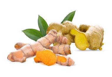 Beyaz arka planda Tayland bitkisi taze zencefil ve zerdeçal..