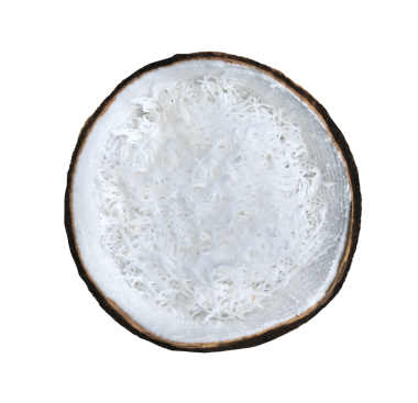 Hindistan cevizi parçasındaki parçalanmış hindistan cevizi taneleri şeffaf üzerinde izole edilmiş..