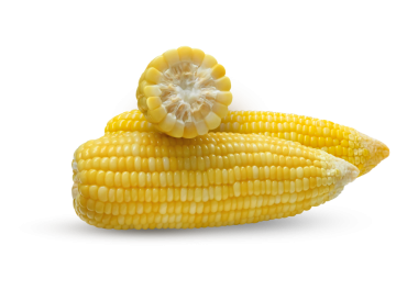 Kaynamış mısırı kapat ve yarı yarıya şeffaf beyaz üzerinde ayrıl..