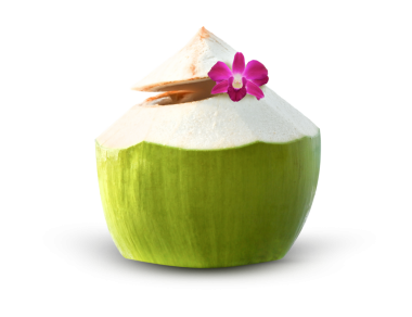 Thai Young Coconut Cocktail ya da Juice, şeffaf bir orkide ile süslenmiş genç bir hindistan cevizinden yapılmış tropik bir yaz içeceği..