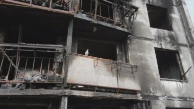 Bu video, Ukrayna 'nın başkenti Kyiv' de 8K çözünürlükte yanmış ve yıkılmış bir evi gösteriyor.