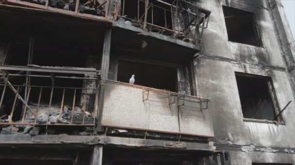 Video Stok Ini Menunjukkan Sebuah Rumah Terbakar Dan Hancur Kyiv — Stok Video