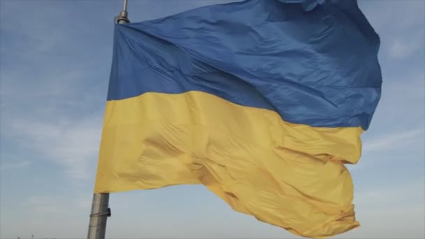 Кадри Показують Національний Прапор України Києві Роздільною Здатністю — стокове відео