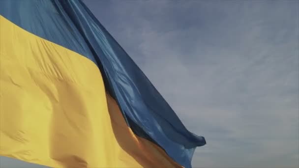 Кадрах Изображен Государственный Флаг Украины Киеве Резолюции — стоковое видео