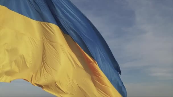 Cette Séquence Montre Drapeau National Ukraine Kiev Résolution — Video