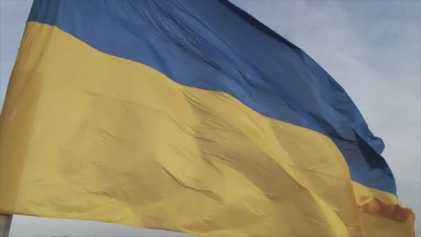 Αυτό Φιλμ Δείχνει Την Εθνική Σημαία Της Ουκρανίας Στο Κίεβο — Αρχείο Βίντεο