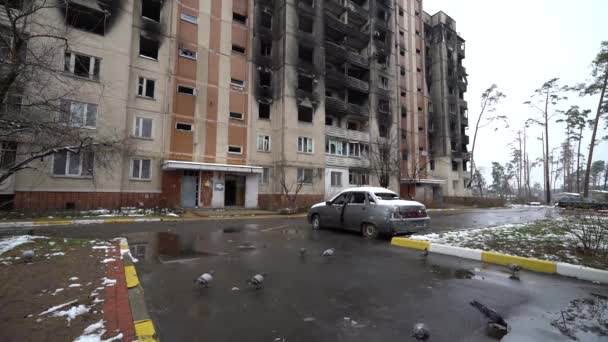 Este Video Muestra Coche Civil Derribado Durante Guerra Ucrania — Vídeo de stock