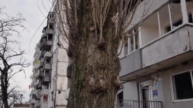 Bu video, Ukrayna, Borodyanka 'da savaştan zarar görmüş bir binayı gösteriyor.