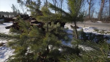 Bu video, Ukrayna 'daki savaş sırasında yok edilen Rus askeri ekipmanlarını gösteriyor.