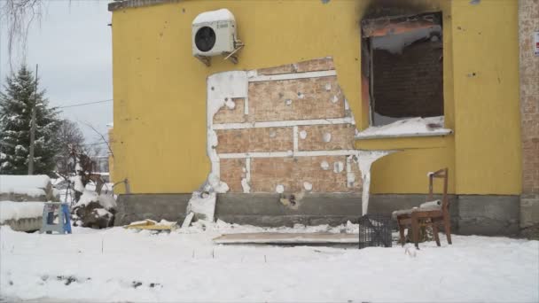 Stock Video Shows Crime Scene Theft Banksy Graffiti Gostomel Ukraine — Stock Video