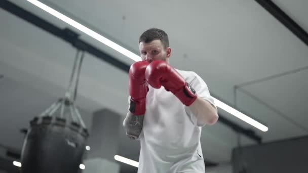 Boxeador Masculino Durante Entrenamiento Gimnasio Cámara Lenta — Vídeos de Stock