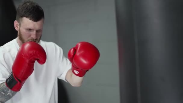 Boxeador Masculino Durante Entrenamiento Gimnasio — Vídeo de stock