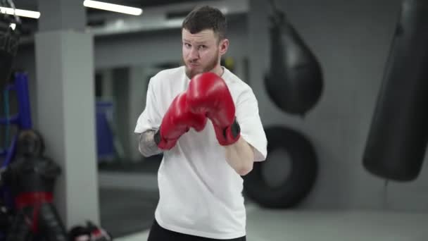 Boxeur Masculin Pendant Entraînement Dans Salle Gym — Video