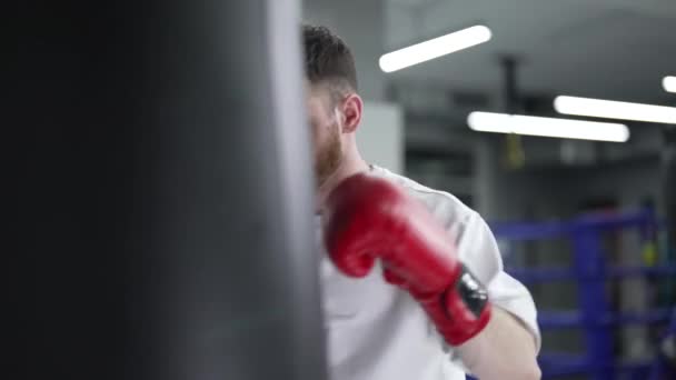 Boxer Maschile Durante Allenamento Palestra — Video Stock