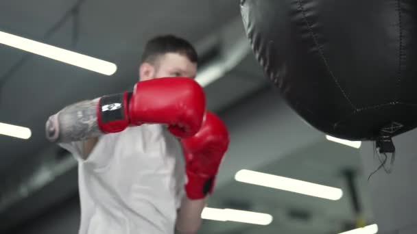 ジムでのトレーニング中に男性ボクサー — ストック動画