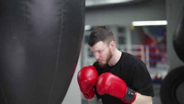 ジムでのトレーニング中に男性ボクサー — ストック動画