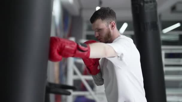 Male Boxer Training Gym — Stock Video