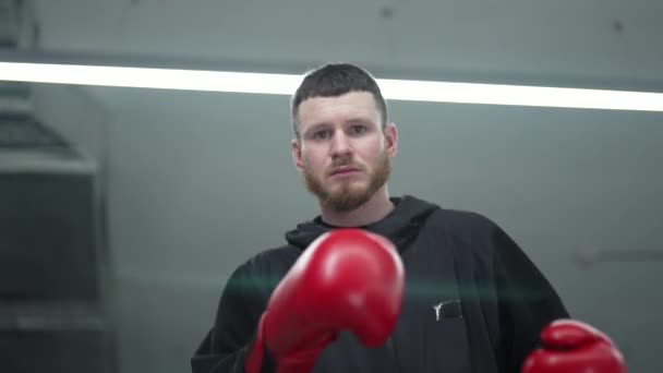 Boxer Masculin Timpul Antrenamentului Sala Sport — Videoclip de stoc