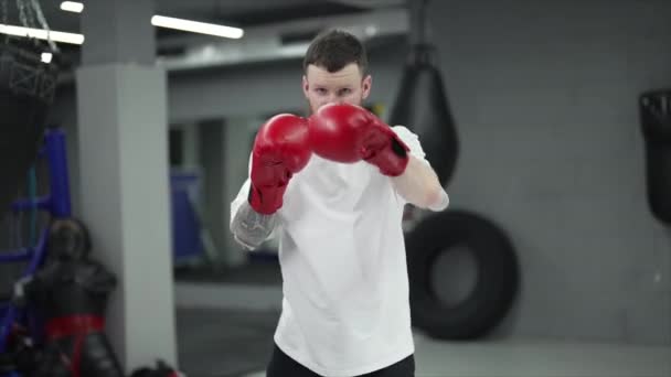 Boxer Masculino Durante Treinamento Ginásio Câmera Lenta — Vídeo de Stock
