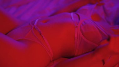 Seksi iç çamaşırlı şehvetli güzel kadın.