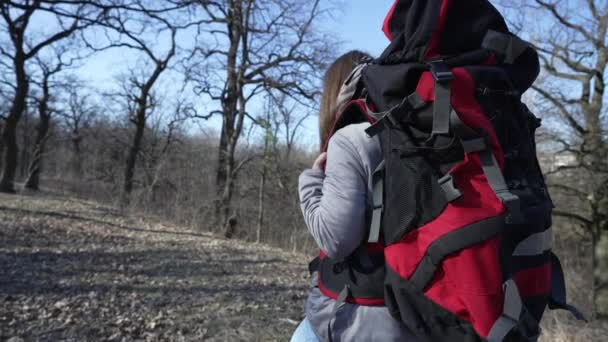 Женщина Турист Лесу Течение Дня Замедленная Съемка — стоковое видео