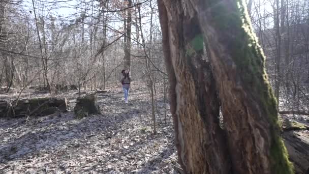 Gündüz Vakti Ormandaki Kadın Turist Ağır Çekimde — Stok video