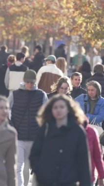 KYIV, UKRAINE ECTOBER 6, 2024: Sonbaharda cadde boyunca yürüyen insanların dikey videosu, yavaş çekim
