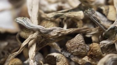 Kurutulmuş psilosibin mantarları Altın Öğretmen, yakın plan.