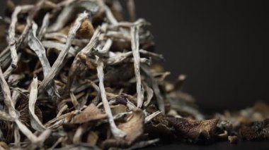 Kurutulmuş psilosibin mantarları Altın Öğretmen, yakın plan.