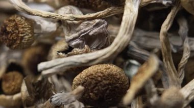 Sihirli mantarlar - kurutulmuş psilosibin mantarları Altın Öğretmen