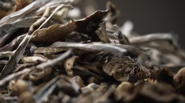 Sihirli mantarlar - kurutulmuş psilosibin mantarları Altın Öğretmen