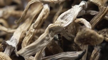 Sihirli mantarlar - kurutulmuş psilosibin mantarları Altın Öğretmen